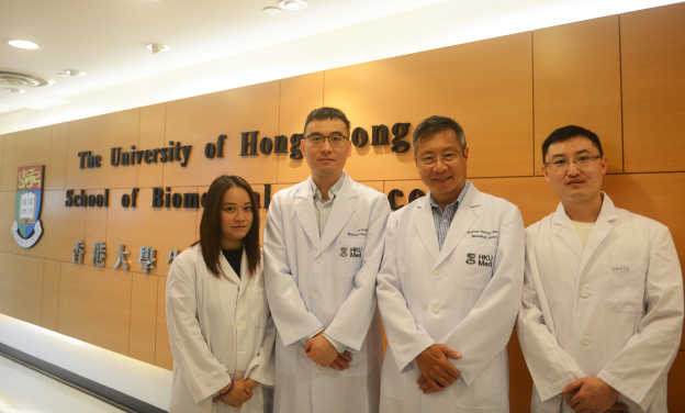Dr Gao Bo, Assistant Professor of the School of Biomedical Sciences, HKUMed (2nd left); Professor Danny Chan, S Y and H Y Cheng Professorship in Stem Cell Biology and Regenerative Medicine, Interim Director of School of Biomedical Sciences and Assistant Dean (Research postgraduate studies), HKUMed (2nd right); Dr Wang Jin, Post-doctoral Fellow (1st right) and Ms Vanessa Choi Nga-ting, Technician (1st left) of the Gao Bo Laboratory, School of Biomedical Sciences, HKUMed.